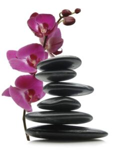 Small orchid & stones Picture1 Inner Alchemy massage training and aromatherapy stones and orchid